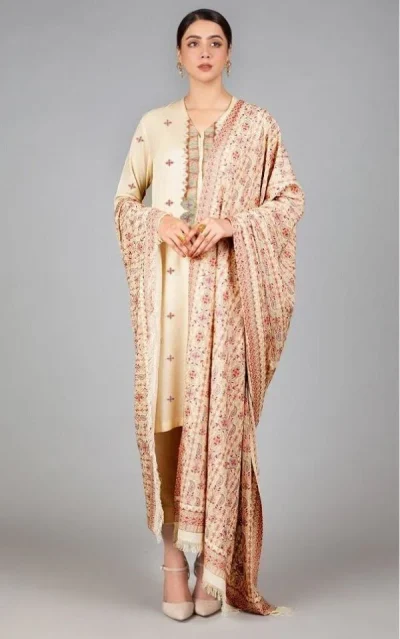 Bareeze | Embroidered Karandi Dress with Shawl