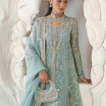 Freeshia by Suffuse Embroidered Organza Suits