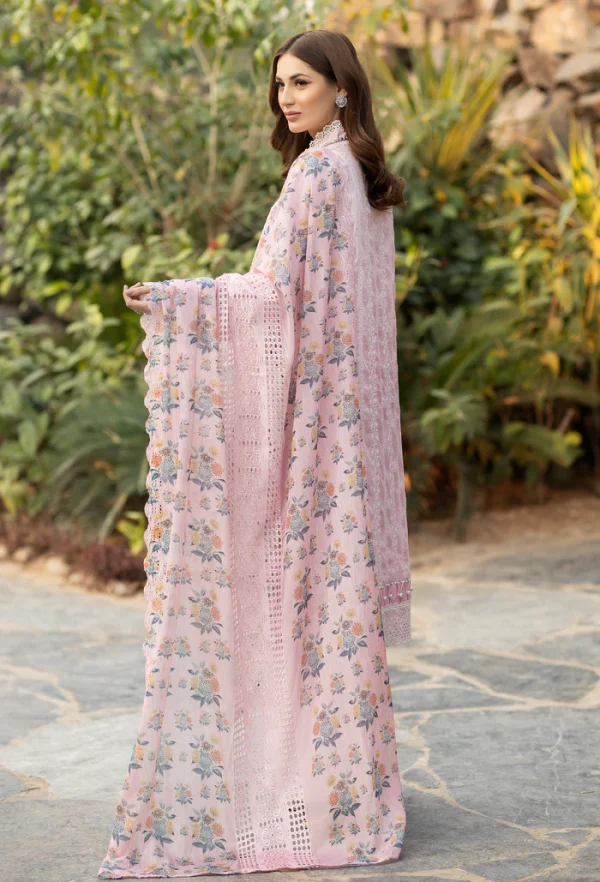 Adan Libas Fuchsia Chikankari 3pc