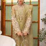 Suffuse Festive - Sage party wear 3pc