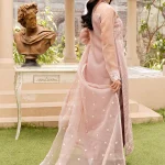 Luxury Partywear 3pc Dress with adda work 
