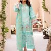 Aqua Green - chikankari Collection