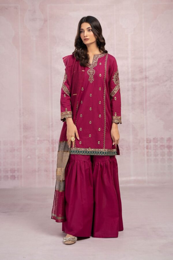 MARIA B-Dhanak Embroidered With Pashmina Printed Shawl