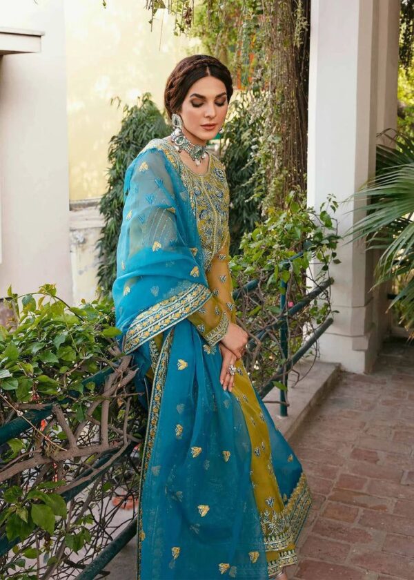 AKBAR ASLAM-Organza Partywear Heavily Adda work 3pc