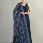 Dhanak Embroidered 3pc with Heavy Embroidered Shawl