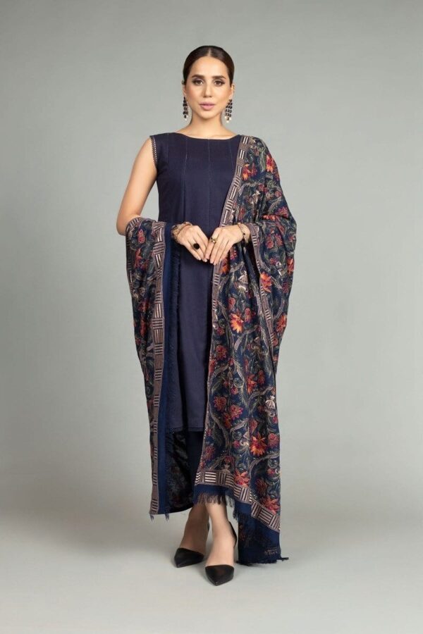 Dhanak Emroidery Dress with Heavy Embroidered Shawl