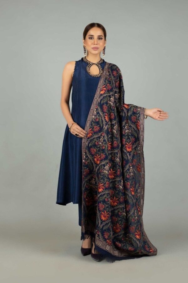 Dhanak Emroidery Dress with Heavy Embroidered Shawl
