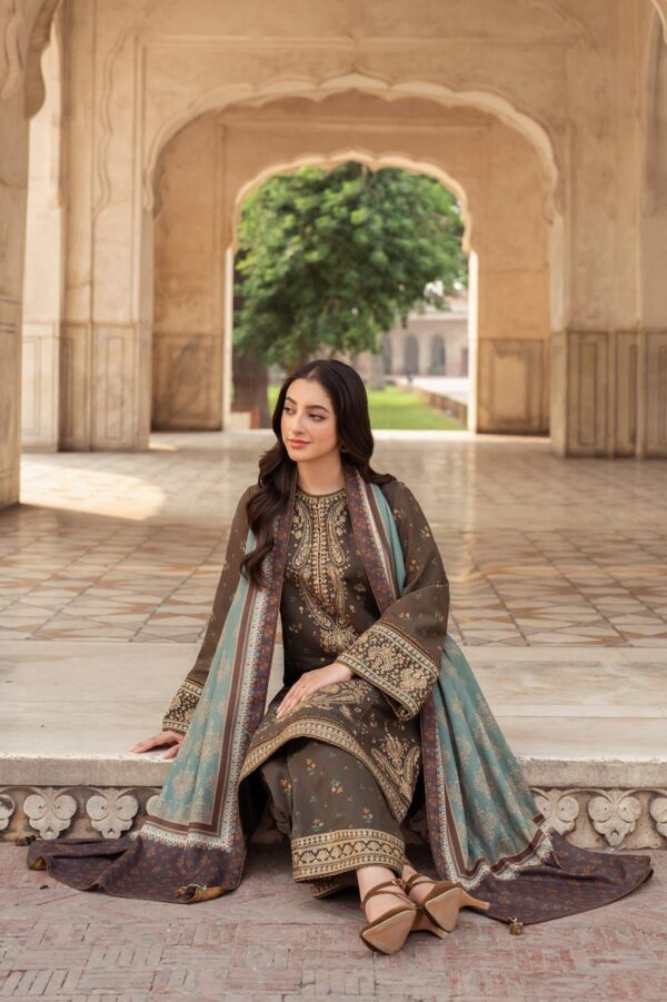 Embroidered Dhanak 3pc suit