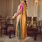 Royal Mustard & Magenta Embroidered Partywear Dress