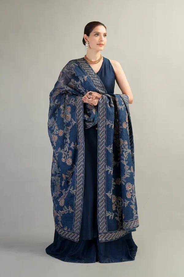 Dhanak Embroidered 3pc with Heavy Embroidered Shawl