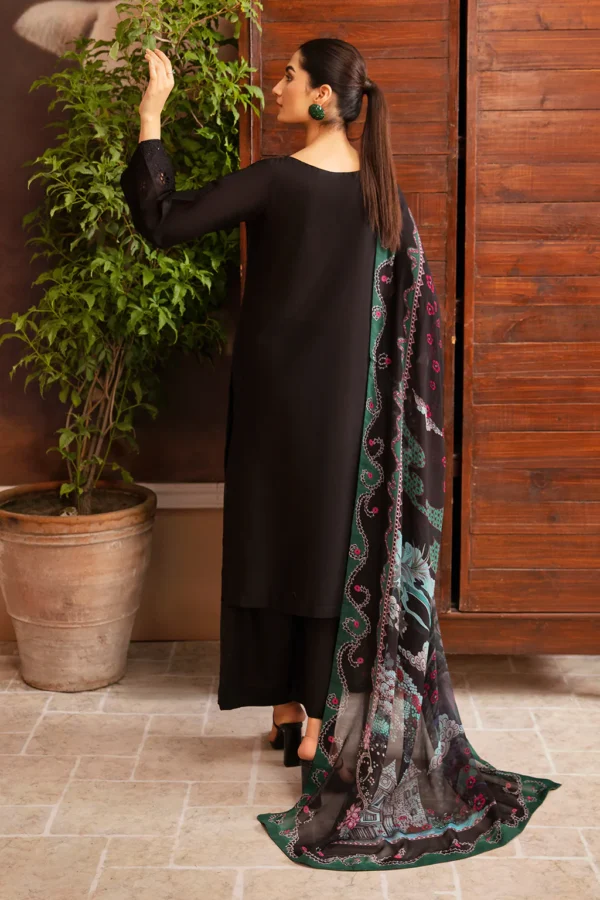 Afsanah-Dhanak Embroidered 3pc with Wool Shawl