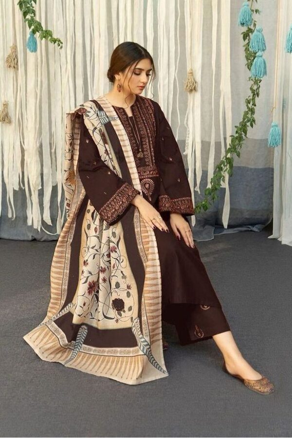 Asling-3pc Embroiderd Dhank with Wool Shawl