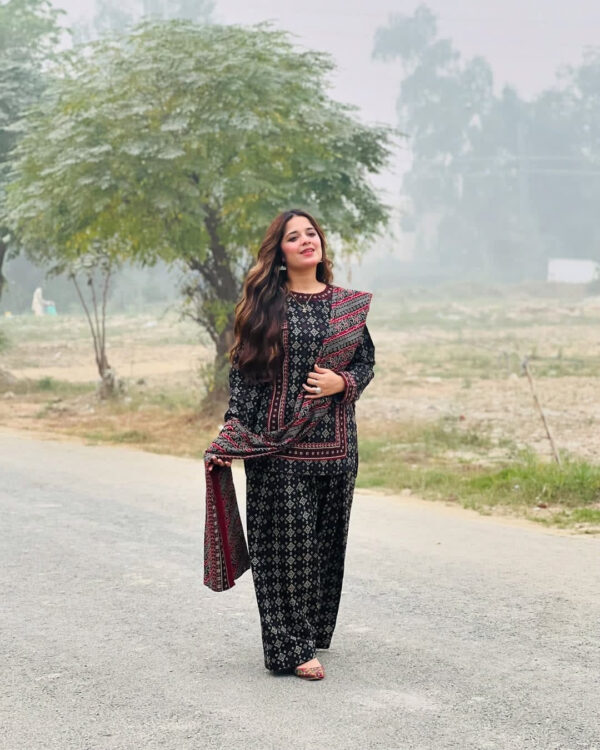 Bin Saeed-Khaddar 3pc Printed Suit (4)
