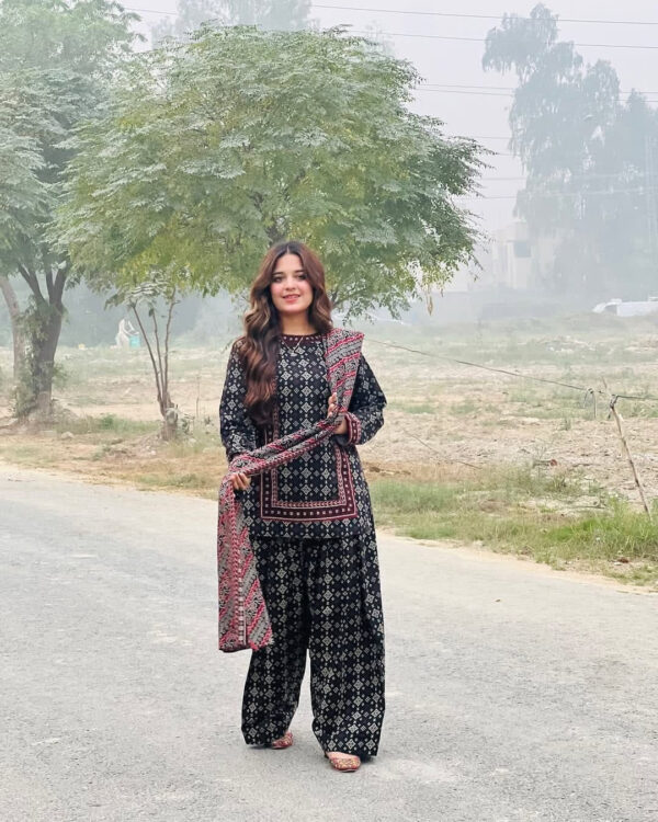 Bin Saeed-Khaddar 3pc Printed Suit (4)