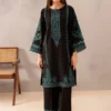 Dhanak Heavy Embroidered 2pc
