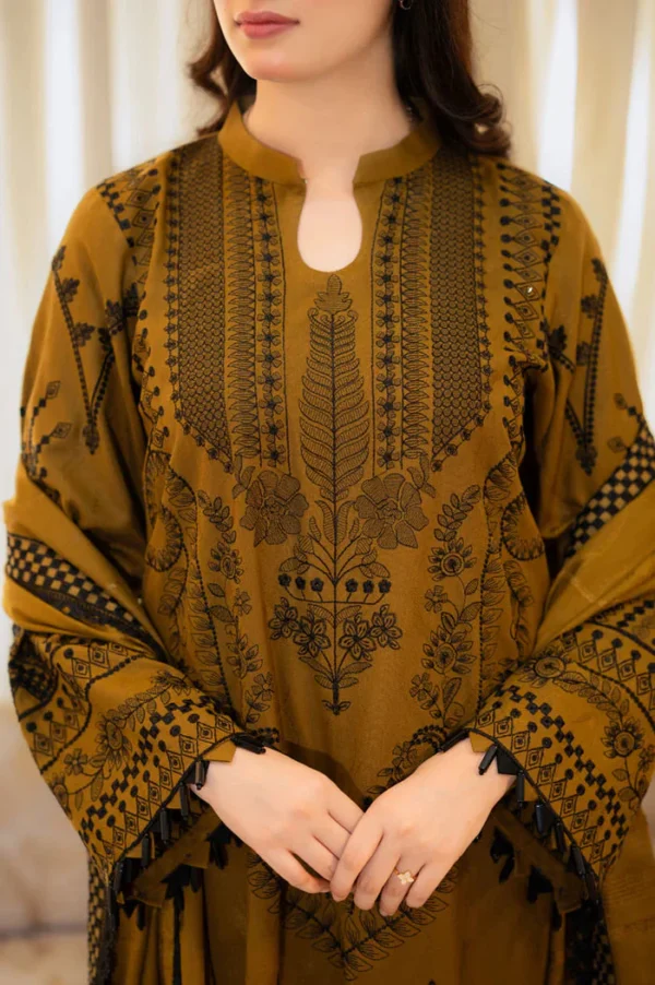 Dhanak Heavy Embroidered 3pc with wool shawl