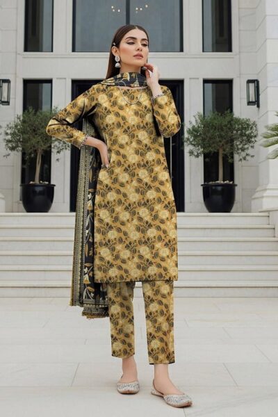 Digital Printed Karandi with Wool Shawl (036)