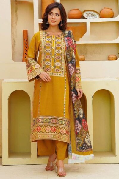 Aneelas-Dhanak 3pc with sequence work (4)