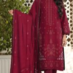 Dhanak Embroidered 3pc with Cutwork Pallu Shawl