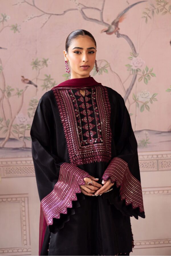 Vanya-Dhanak Unstich Embroidered 3pc