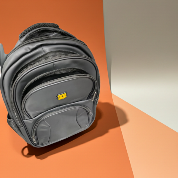 Premium Professional laptop backpack & Carry Bag