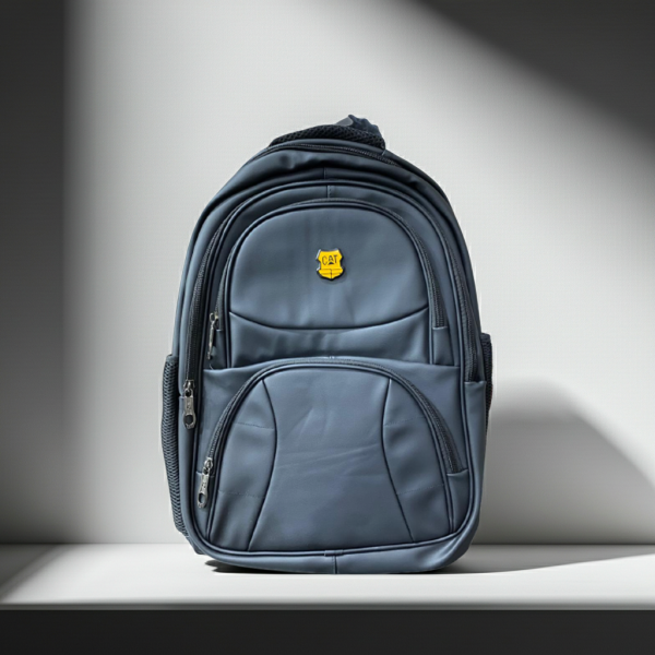 Premium Professional laptop backpack & Carry Bag