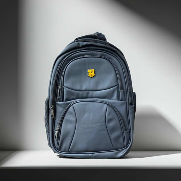 Premium Professional laptop backpack & Carry Bag