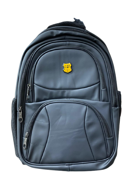 Premium Professional laptop backpack & Carry Bag